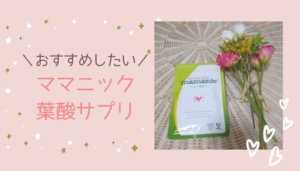 カタミノkatamino 遊び方 最強のおすすめ知育パズル Lulu Mama カタミノkatamino 遊び方 最強のおすすめ知育パズル Lulu Mama