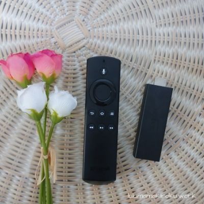 Fire Stick TVを使ってテレビに映す方法｜実際の流れを写真付きで解説